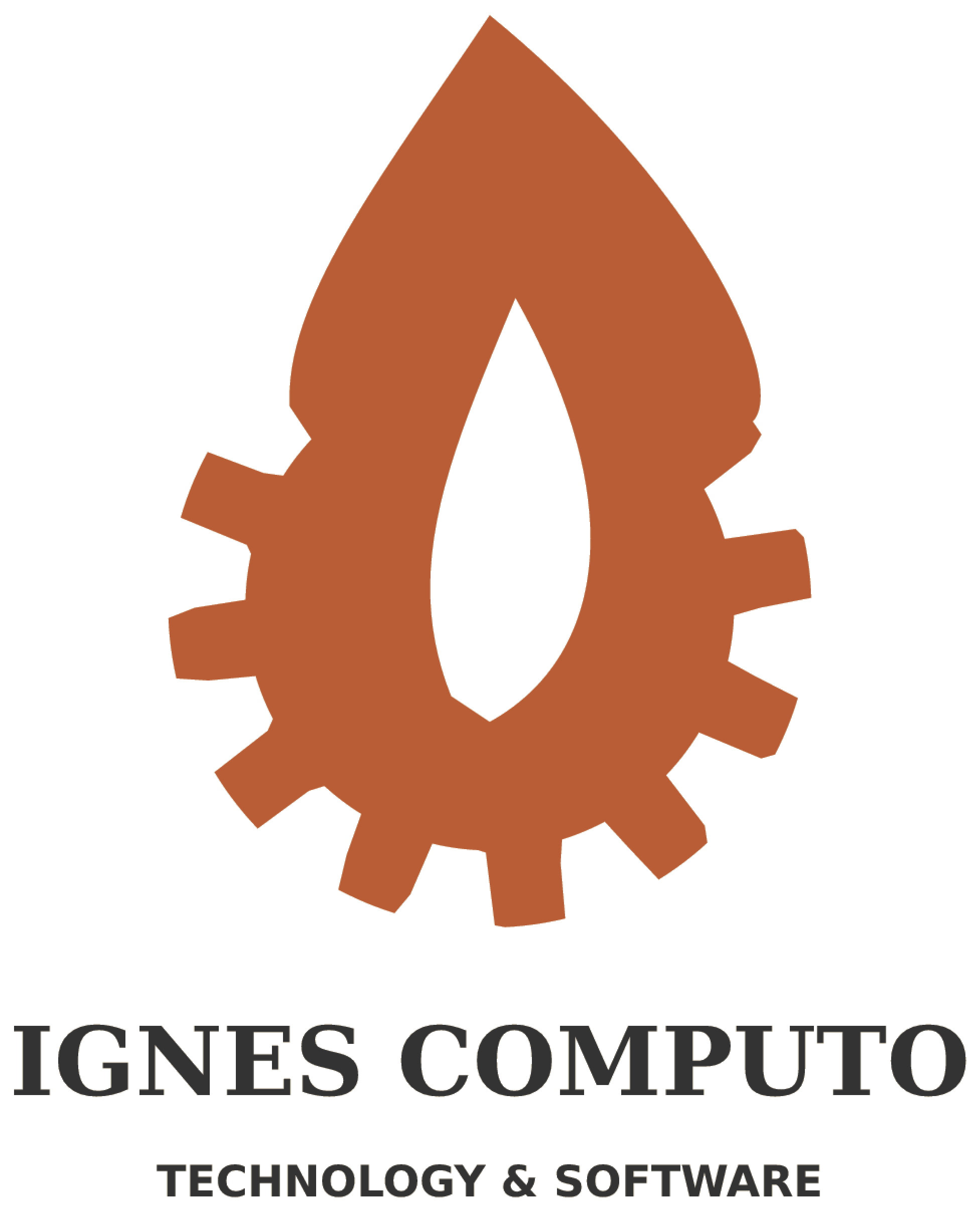 IgnisComputo
